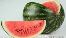 吃瓜会破坏磁场吗