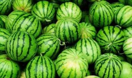 什么工作可以吃瓜