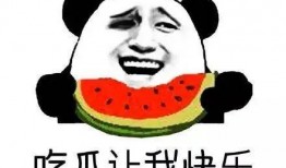 吃瓜群众谢广彪,吃瓜群众的独特视角与趣味解读