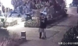 范县吃瓜事件视频,一场引发热议的网络风波