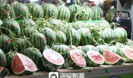 合肥羊爸吃瓜