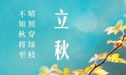 立秋吃瓜活动结束文案,共享丰收喜悦