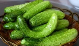 断念吃瓜,揭秘娱乐圈背后的真相与八卦