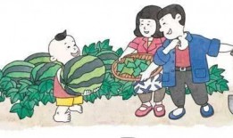 吃瓜毛驴,揭秘动物界的“八卦达人”