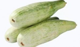 绿蜜瓜怎么吃