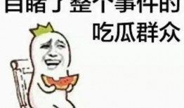 吃瓜群众谢广彪,吃瓜群众的独特视角与趣味解读
