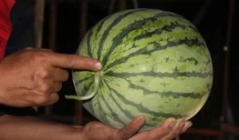 吃瓜会破坏磁场吗