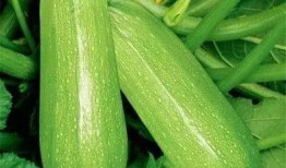 吃瓜401,一场网络热点的狂欢与反思