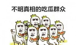 吃瓜群众奥克斯,吃瓜群众的视角解读