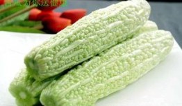 吃啥瓜治嘴苦,探寻民间食疗小妙招