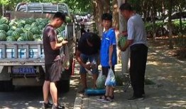 康县吃瓜群众事件,网络舆论下的社会现象解析