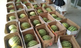 安徽师范学院吃瓜