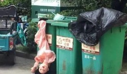 抛尸案吃瓜,真相背后，吃瓜群众如何揭开罪恶面纱