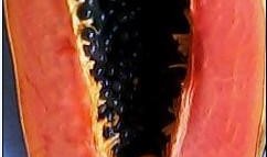 公司内部吃瓜,揭秘公司吃瓜大事件