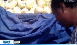 吃瓜人视频,一场视觉盛宴背后的故事