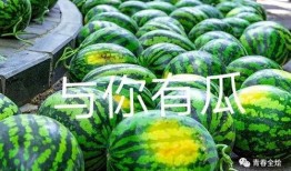 长青大学门吃瓜