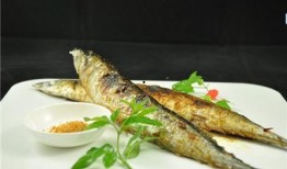 吃瓜的秋刀鱼,鱼跃龙门——探寻吃瓜秋刀鱼的独特魅力