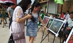 郓城吃瓜群众事件,一场网络舆论的风暴与反思