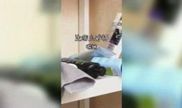 吃瓜姐妹讨论社,揭秘娱乐圈幕后故事