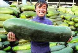 网上吃内脏的瓜