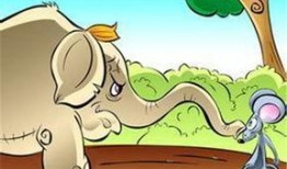 小老鼠吃瓜视频大全