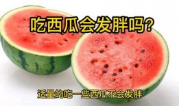 吃瓜能长胖吗