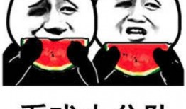 吃瓜观众的表情包,揭秘网络时代的“表情盛宴”