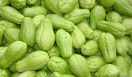 捧瓜如何吃,捧瓜的多样食法探索