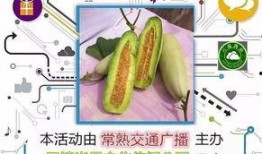 湿疹吃羊角瓜好吗