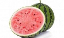 蜜蜂麒麟瓜怎么吃,美味多汁，轻松享用的夏日佳品