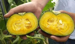 小瓜南瓜怎么吃