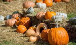 牛哥吃瓜,揭秘娱乐圈那些不为人知的幕后故事