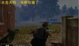 吃鸡圈吃瓜