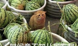 吃瓜 对话,揭秘娱乐圈幕后真相