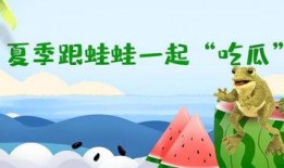 吃蛙听瓜,揭秘美食与娱乐的跨界融合之旅