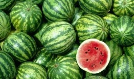 大川吃瓜啥意思,揭秘网络热词背后的趣味与内涵