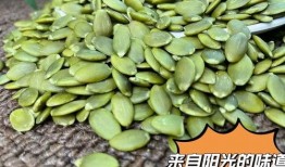 吃瓜壳仔,揭秘娱乐圈背后的秘密与真相