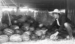 郓城吃瓜群众事件,一场网络舆论的风暴与反思