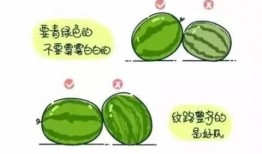 请客吃瓜的正确方法,请客吃瓜的完美指南