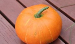 孕期可以吃秋瓜,秋季孕妇的滋补佳选