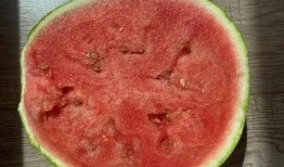 科普up吃瓜,揭秘科普UP主背后的“吃瓜”世界