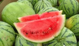 荔枝艾吃瓜,揭秘网络热词背后的趣味与智慧