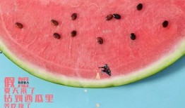 单身的吃瓜群众,揭秘娱乐圈那些不为人知的幕后故事