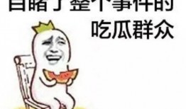 空空河马的吃瓜群众,吃瓜群众的趣味生活