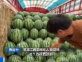 迪奇吃瓜,揭秘娱乐圈幕后故事