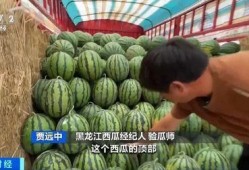 迪奇吃瓜,揭秘娱乐圈幕后故事