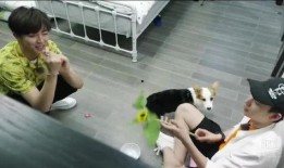 武陟猜拳吃瓜,一场别开生面的民间趣味活动