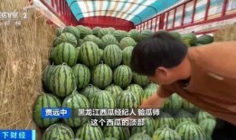 瓜瓜吃瓜中班