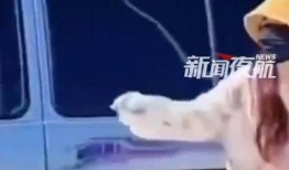 今日吃瓜女司机