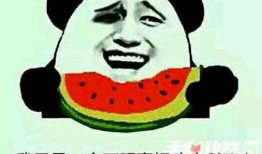 吃瓜网词,揭秘“吃瓜群众”背后的网络文化现象